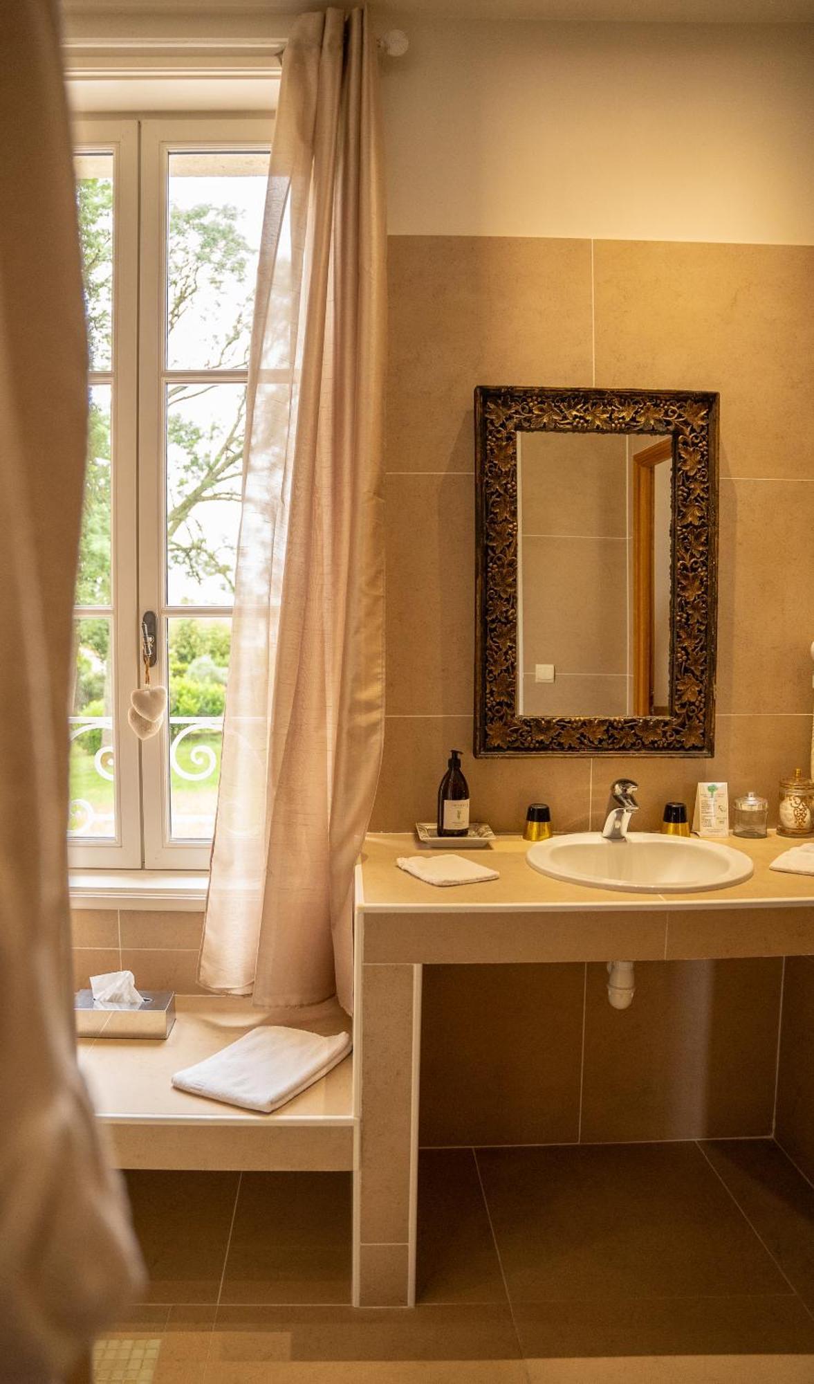 Chateau De Lussac Lussac  部屋 写真