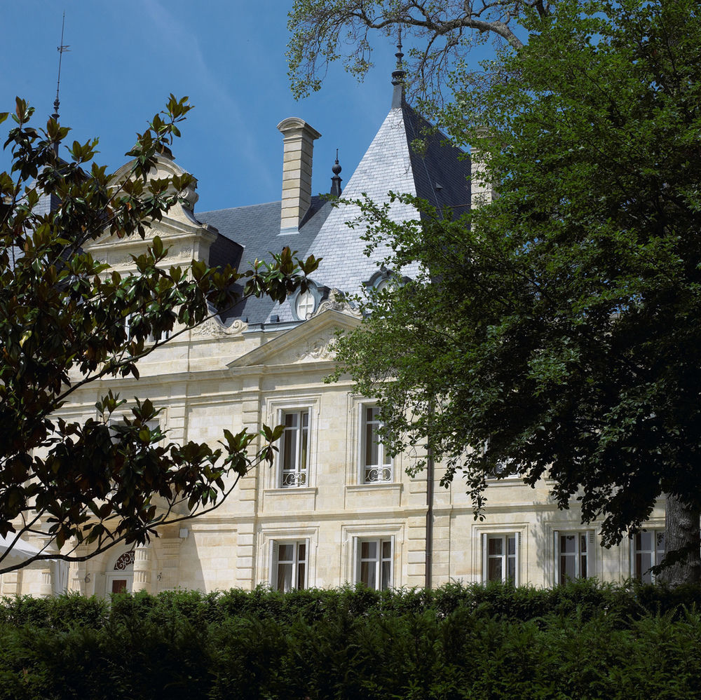 Chateau De Lussac Lussac  エクステリア 写真
